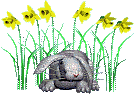 animated-rabbit-image-0219