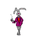 animated-rabbit-image-0273