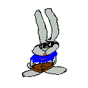 animated-rabbit-image-0274