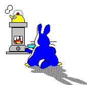 animated-rabbit-image-0348