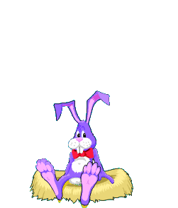 animated-rabbit-image-0391