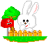 animated-rabbit-image-0439