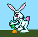 animated-rabbit-image-0474