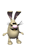 animated-rabbit-image-0481