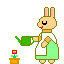 animated-rabbit-image-0508