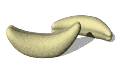 animated-banana-image-0019