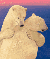 ▷ Polar Bears: Animated Images, Gifs, Pictures & Animations - 100% FREE!