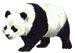 animated-panda-image-0028