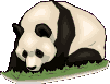 animated-panda-image-0049