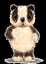 animated-panda-image-0118