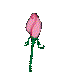 animated-rose-image-0120