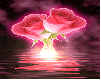 animated-rose-image-0132