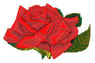 animated-rose-image-0161