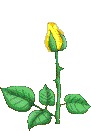 animated-rose-image-0164