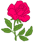 animated-rose-image-0169.gif