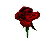 animated-rose-image-0183
