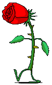 animated-rose-image-0184