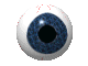 animated-eye-image-0241