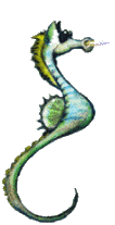 animated-sea-horse-image-0007
