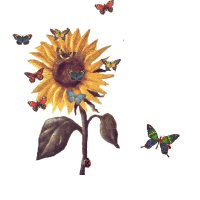 ▷ Sunflowers: Animated Images, Gifs, Pictures & Animations - 100% FREE! ▷ Sunflowers: Animated Images, Gifs, Pictures & Animations - 100% FREE!