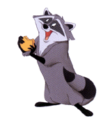animated-raccoon-image-0002