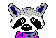 animated-raccoon-image-0010