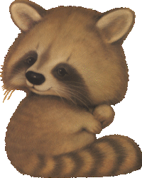 animated-raccoon-image-0033