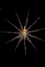 animated-egypt-image-0101