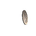 animated-coin-image-0004.gif