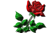 animated-valentines-day-image-0141