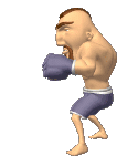 Boxing animation