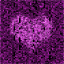 animated-various-avatar-image-0228