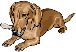 animated-dachshund-image-0071