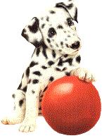 animated-dalmatian-image-0023