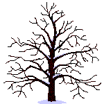 animated-tree-image-0063
