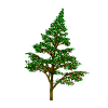 animated-tree-image-0089