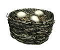 animated-egg-image-0065