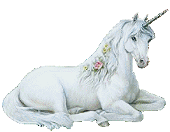 animated-unicorn-image-0044