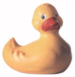 animated-duck-image-0025