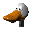 animated-duck-image-0046