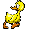 animated-duck-image-0108