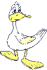 animated-duck-image-0132
