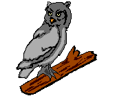 animated-owl-image-0014