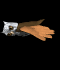 animated-owl-image-0041