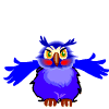 animated-owl-image-0050