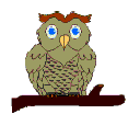animated-owl-image-0056