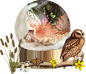 animated-owl-image-0094