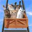 animated-fun-image-0050