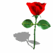 animated-flower-image-0079