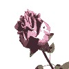animated-flower-image-0097